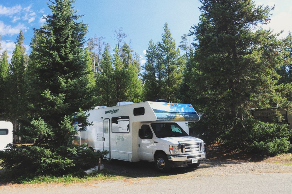 Shoppen bij de Wallmart & wildlife in&nbsp;Yellowstone