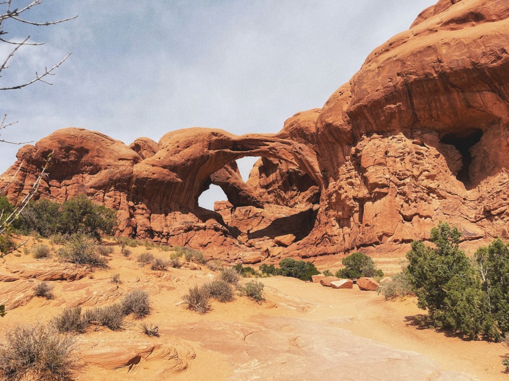 Als een dappere leeuw over de&nbsp;rotsen